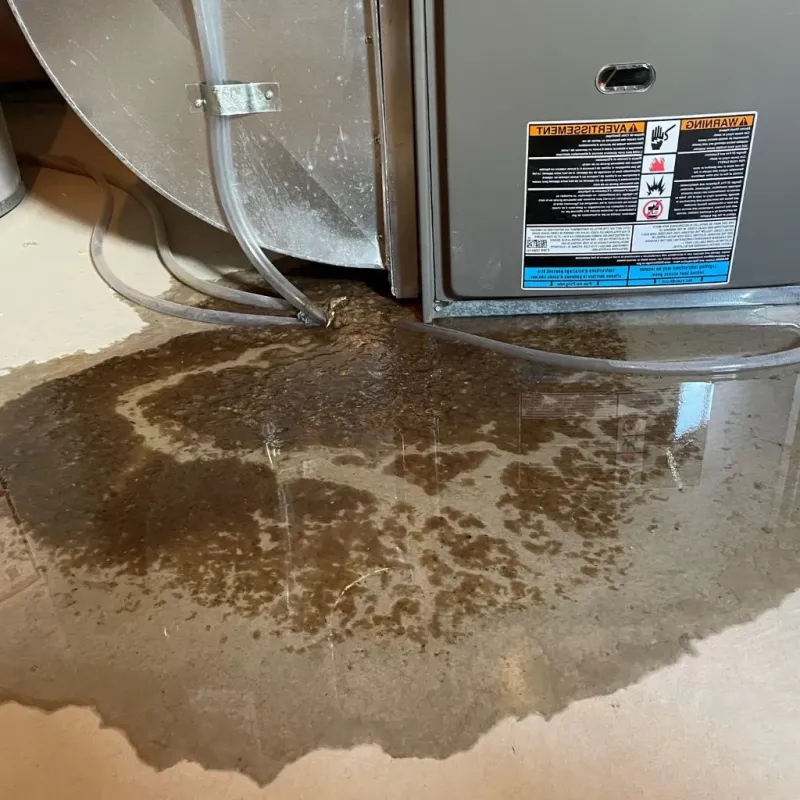 Pipe Burst and Leak Restoration in Mullens, WV