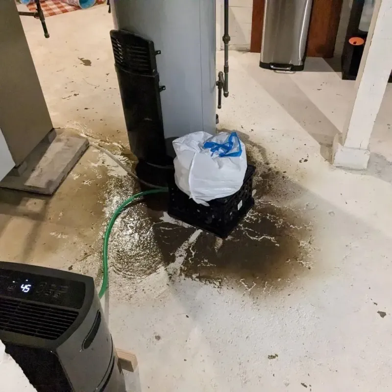 Sewage Backup Cleanup Service in Mullens, WV